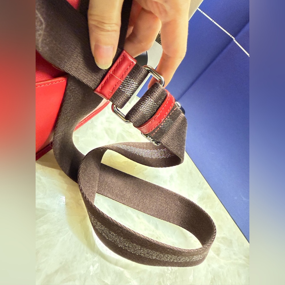 COACH Penny Varsity Patches Crossbody Bag - Picture 14 of 16